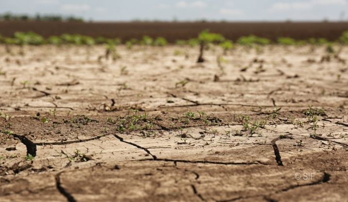 Sécheresse, désertification et déplacements internes : quand la crise des terres devient une crise des droits